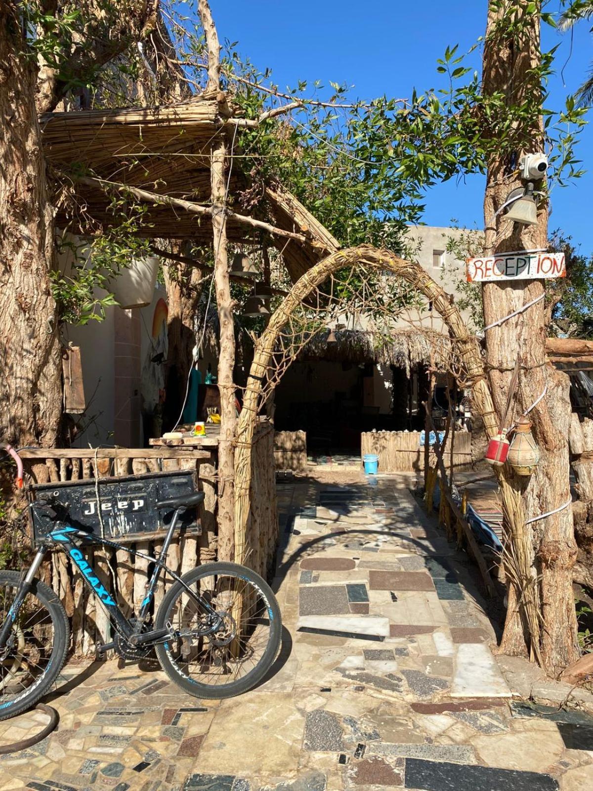 Sunrise Dahab Lodge エクステリア 写真